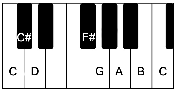 1-pavani 1-pavani