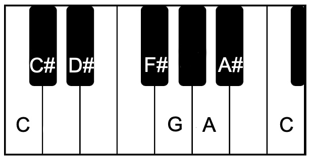 1-shadvidamargini 1-shadvidamargini