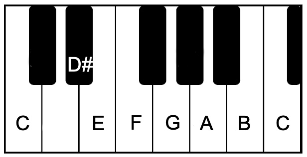 1-shulini 1-shulini